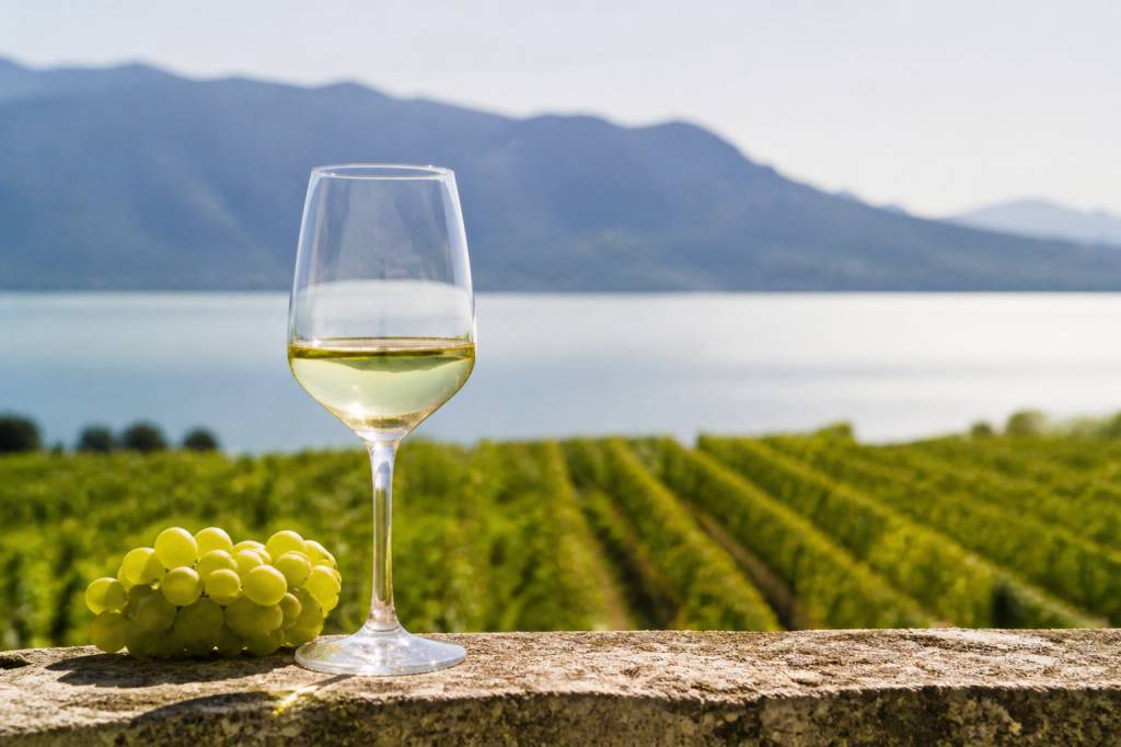 Les meilleurs vins de Suisse : régions viticoles et bouteilles à découvrir